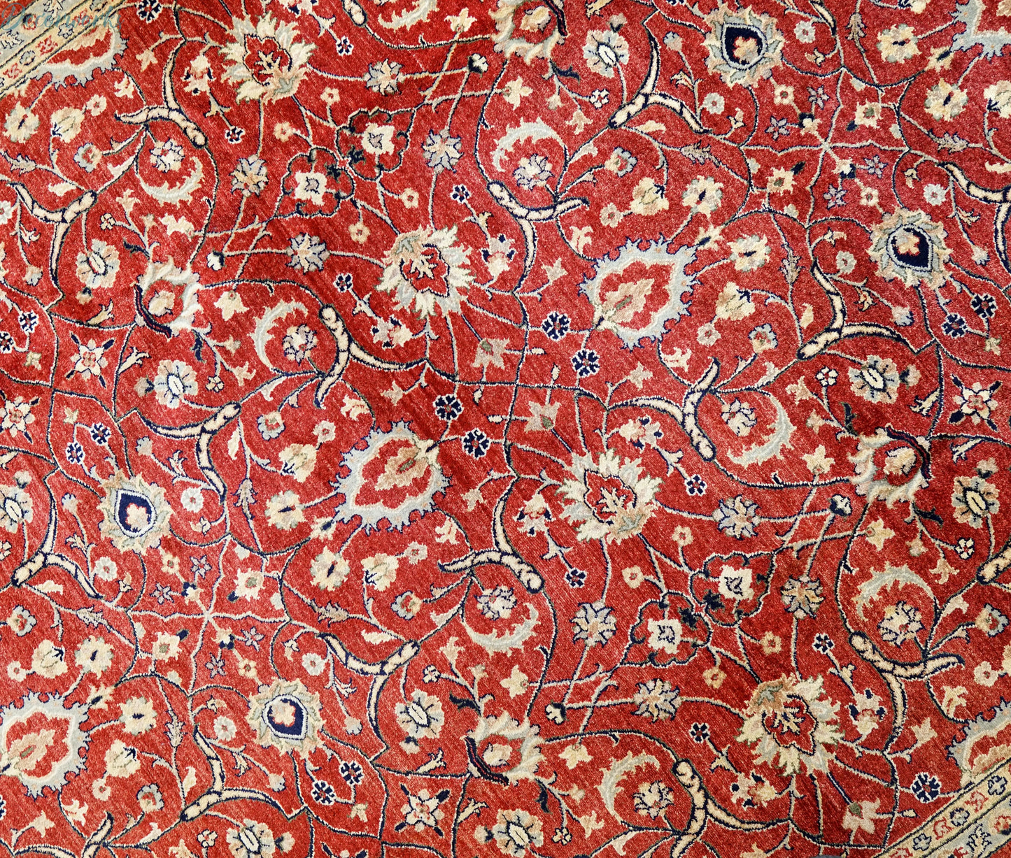 301×245cm アフガン ガズニーウール 手織り絨毯 ARYANA Decorworks