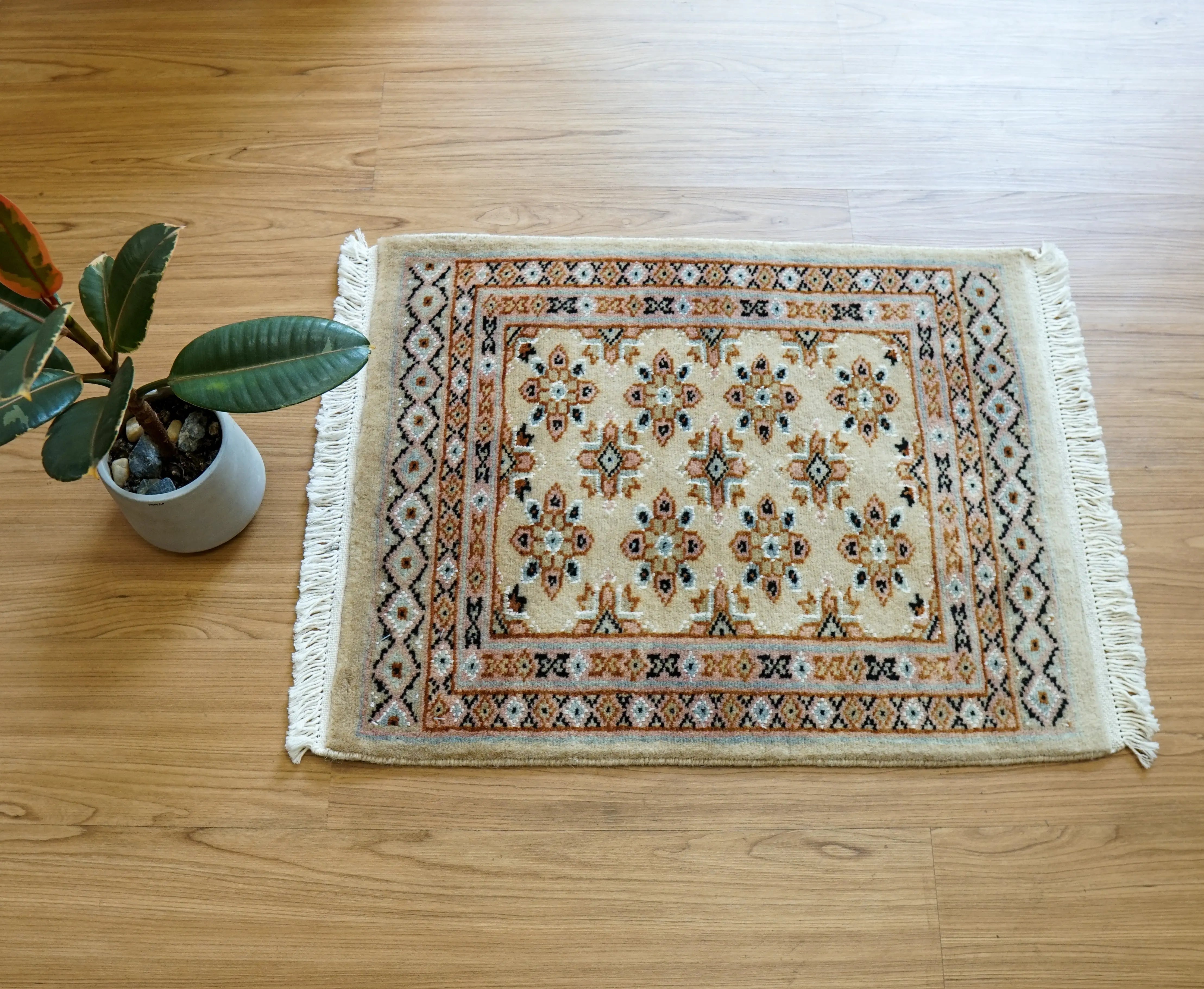 65×46cm 人気 パキスタン手織り絨毯