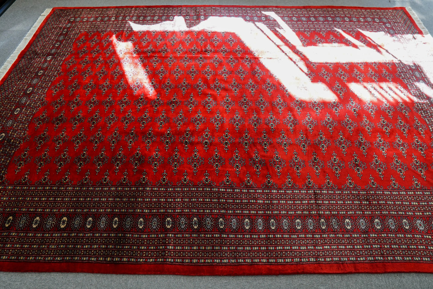 317×253cm パキスタン手織り絨毯 Decorworks