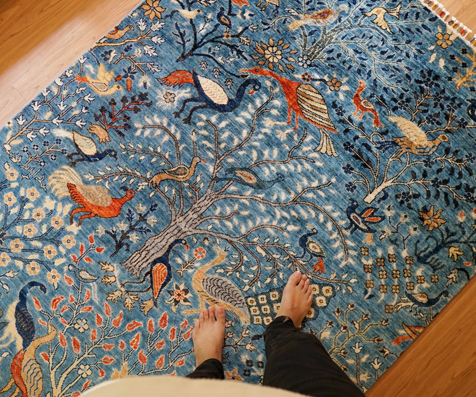 206×149cｍ  アフガニスタン ガズニーウール 手織り絨毯 Decorworks