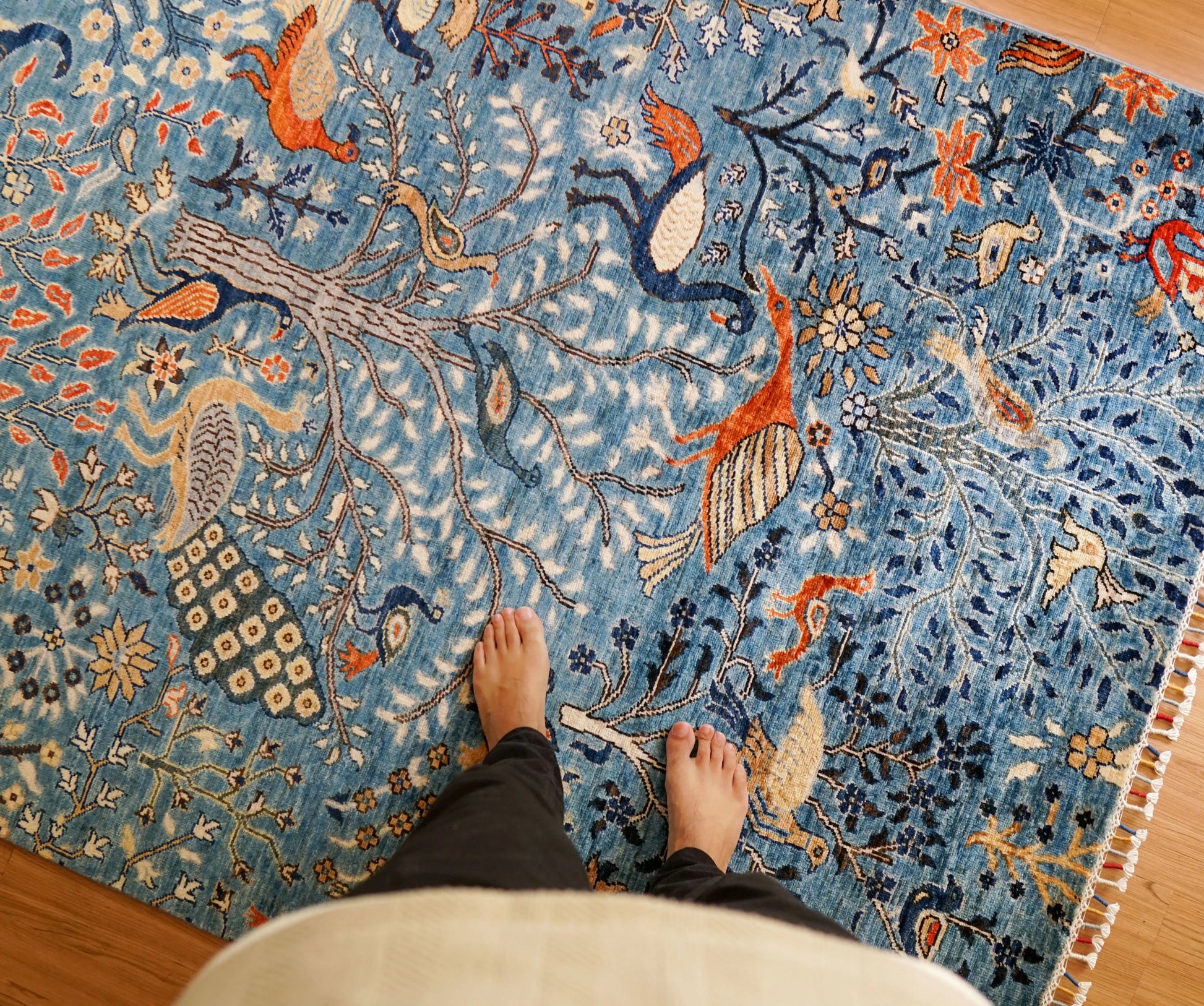 206×149cｍ  アフガニスタン ガズニーウール 手織り絨毯 Decorworks