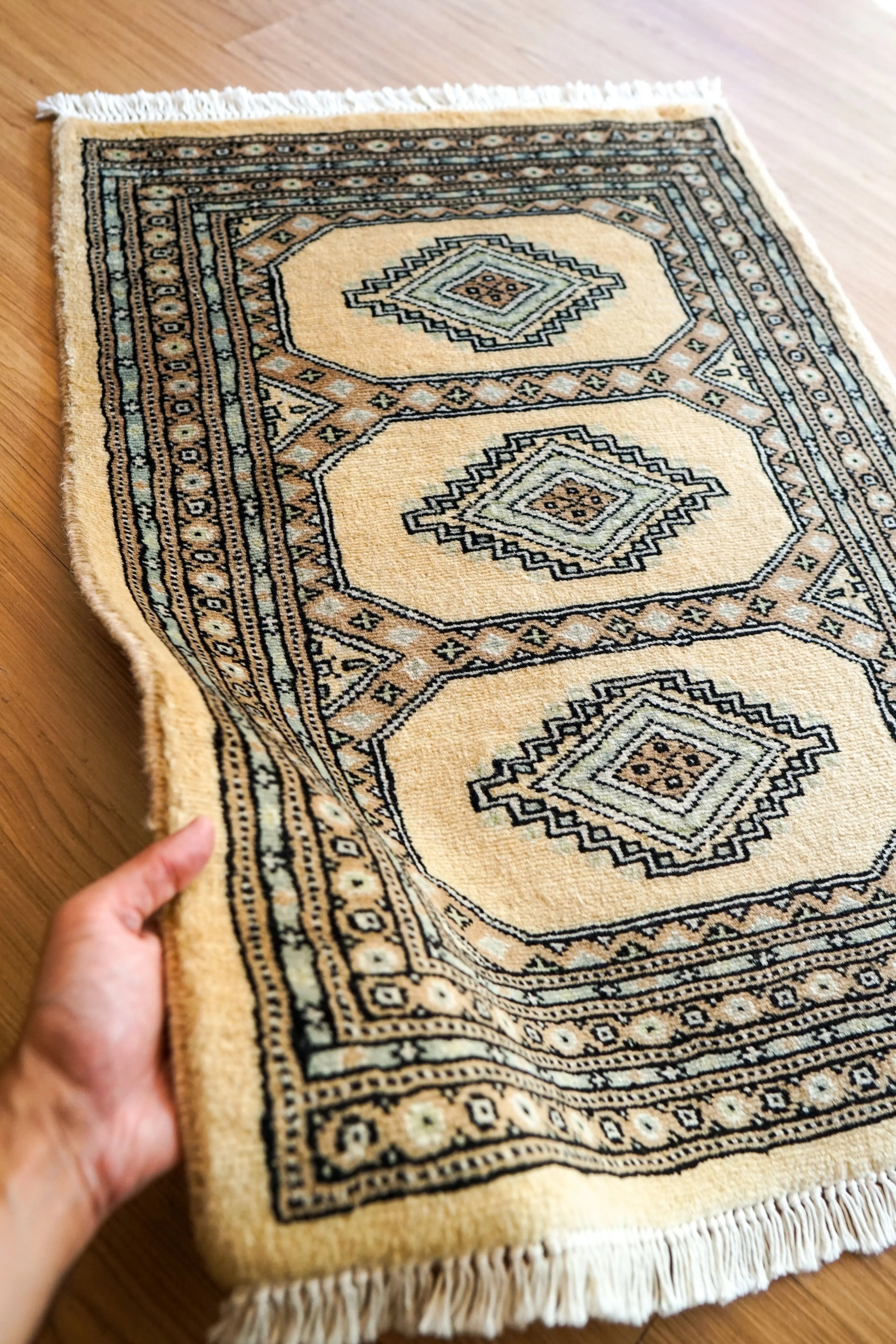 訳あり絨毯パキスタン手織り絨毯255cmx155cm パキスタン手織り絨毯 ジャールダールデザイン - Decorworks