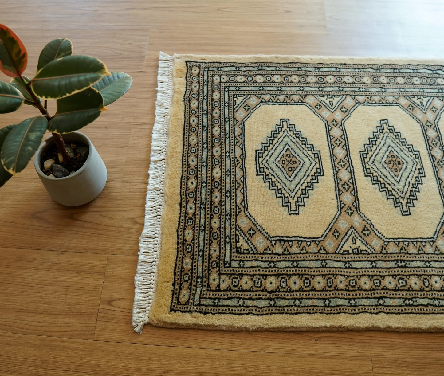 Collection 87×62cm パキスタン手織り絨毯  ジャールダールデザイン