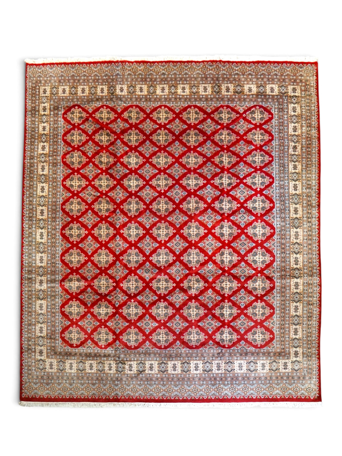  パキスタン手織り絨毯 ジャルダルデザイン 255×250cm