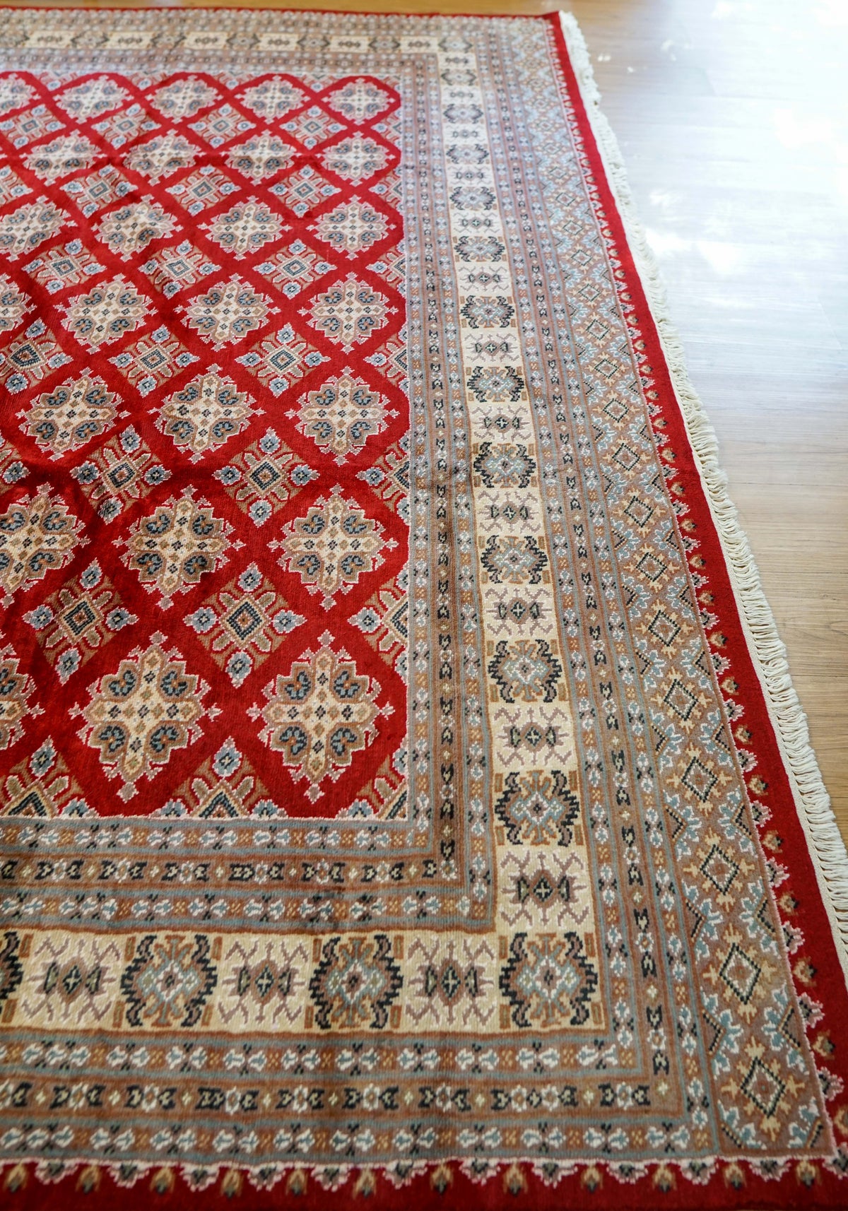  パキスタン手織り絨毯 ジャルダルデザイン 255×250cm