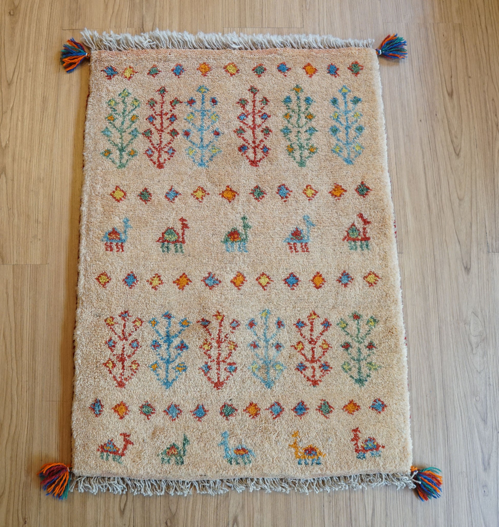 Collection 75×54cm ペルシャ手織りギャッベ アマレ族 カシュガイ