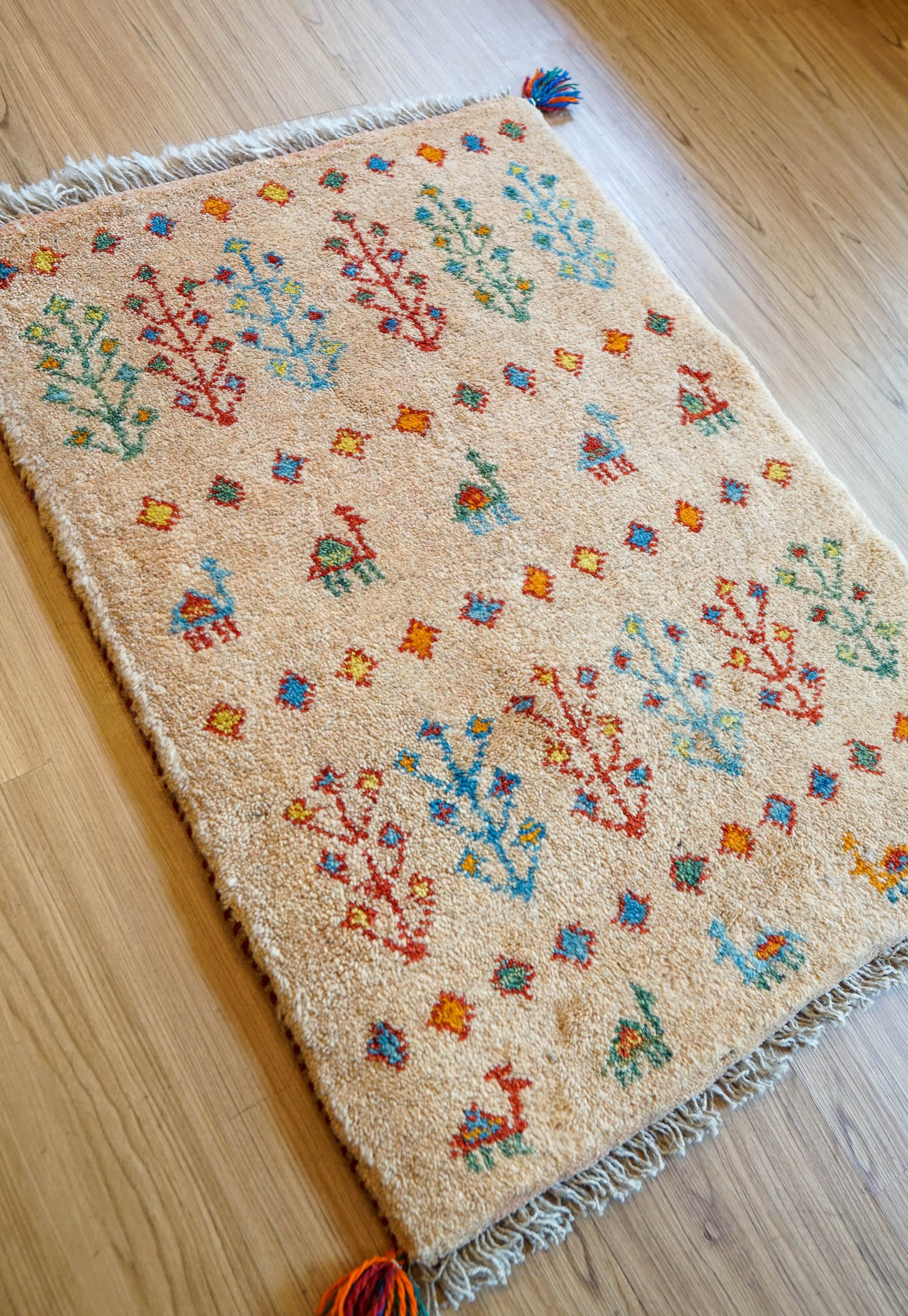 Collection 75×54cm ペルシャ手織りギャッベ アマレ族 カシュガイ