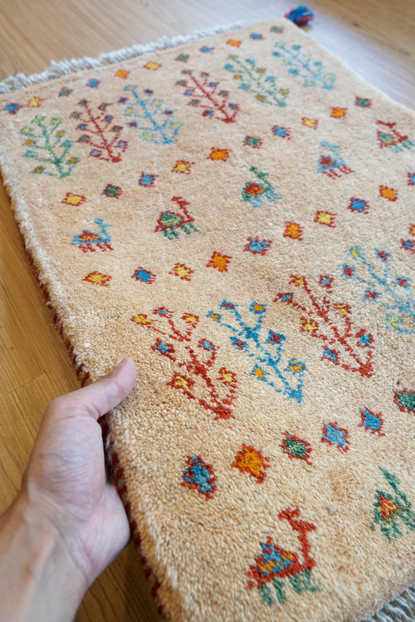 Collection 75×54cm ペルシャ手織りギャッベ アマレ族 カシュガイ