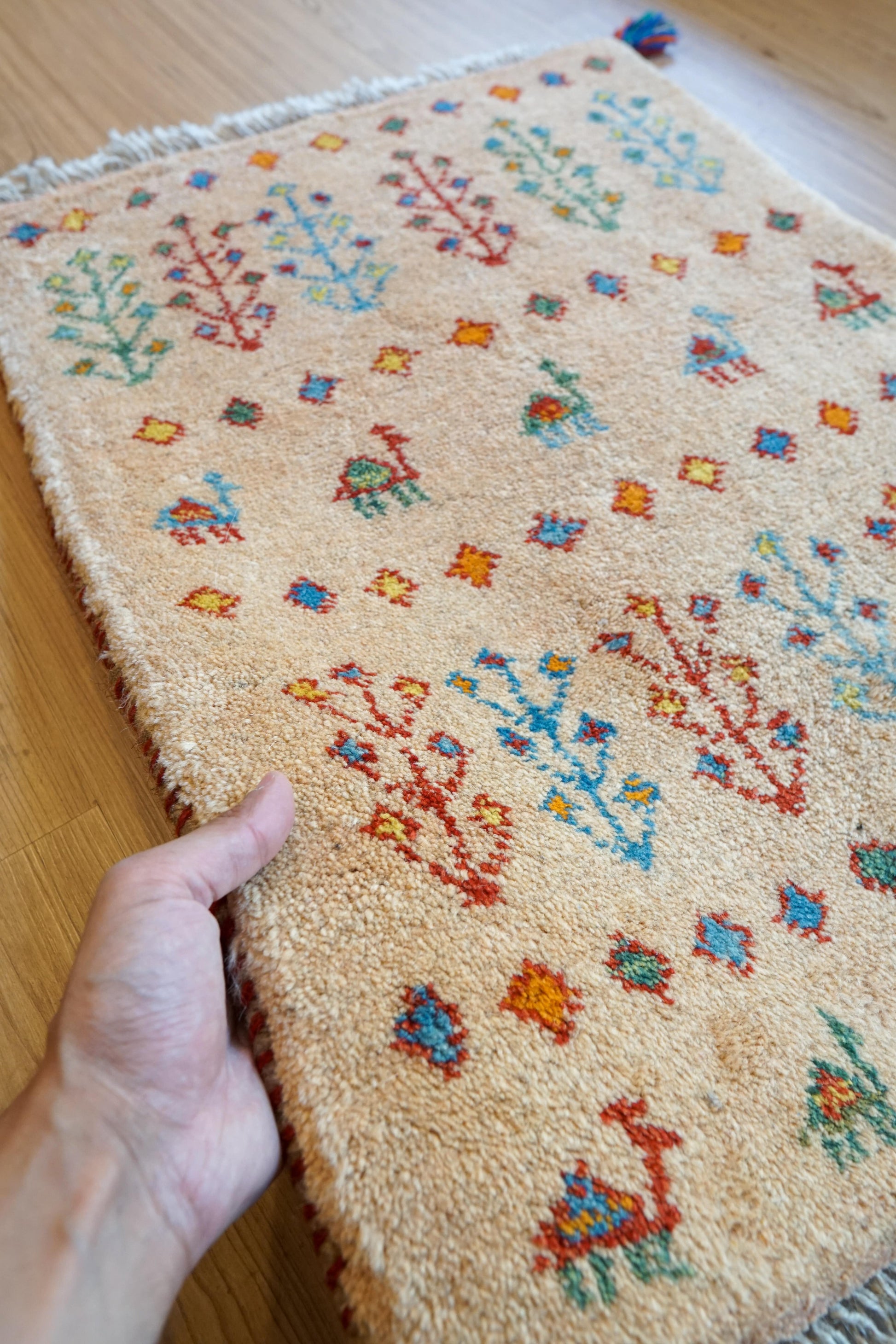 Collection 75×54cm ペルシャ手織りギャッベ アマレ族 カシュガイ