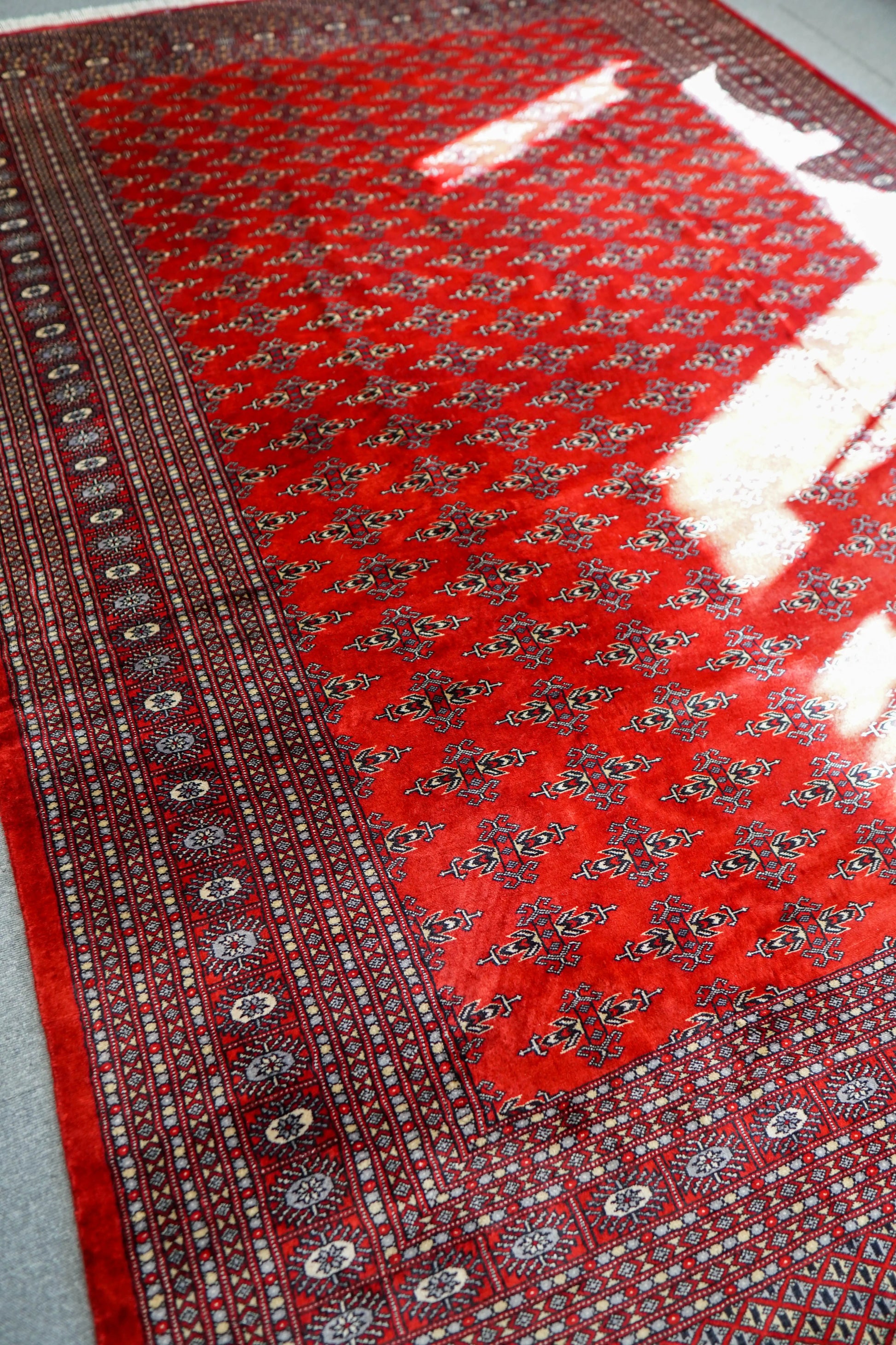 317×253cm  パキスタン手織り絨毯 Decorworks
