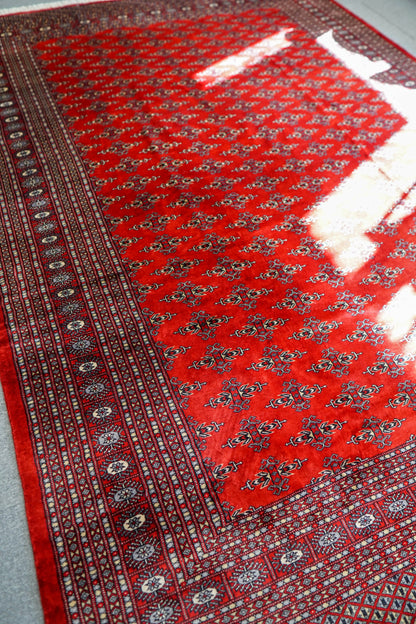 317×253cm  パキスタン手織り絨毯 Decorworks