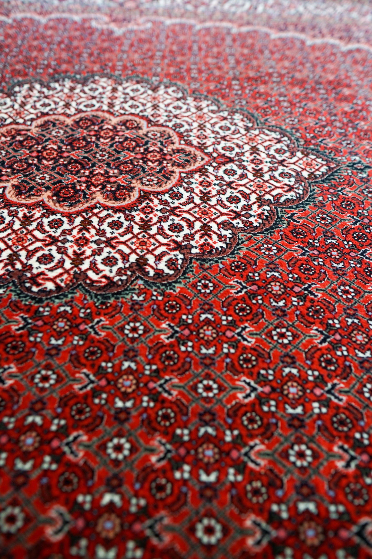 ペルシャ絨毯 ビジャール産 228×152cm ビジャー｜高品質タカーブ織り マヒデザイン メリノウール 手織りラグ