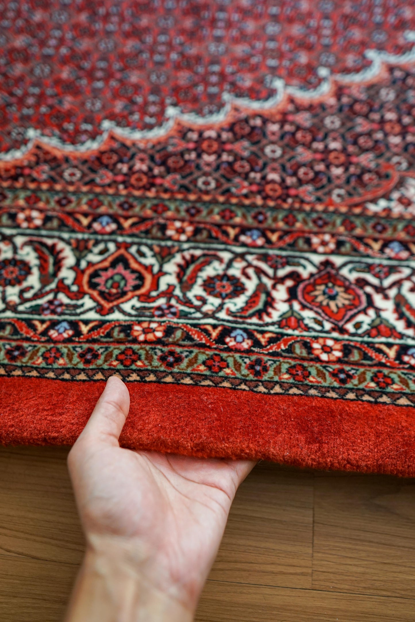 ペルシャ絨毯 ビジャール産 228×152cm ビジャー｜高品質タカーブ織り マヒデザイン メリノウール 手織りラグ