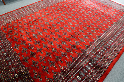 317×253cm  パキスタン手織り絨毯 Decorworks