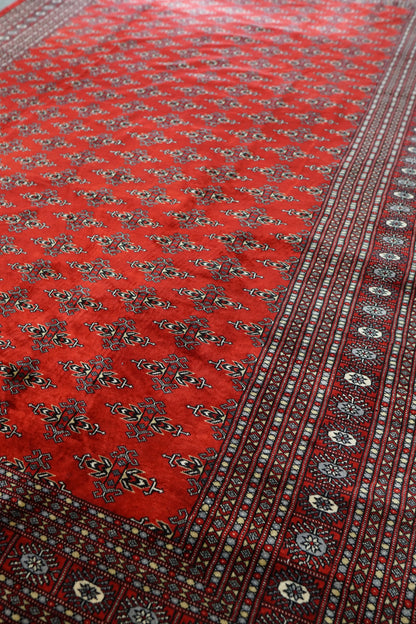 317×253cm  パキスタン手織り絨毯 Decorworks