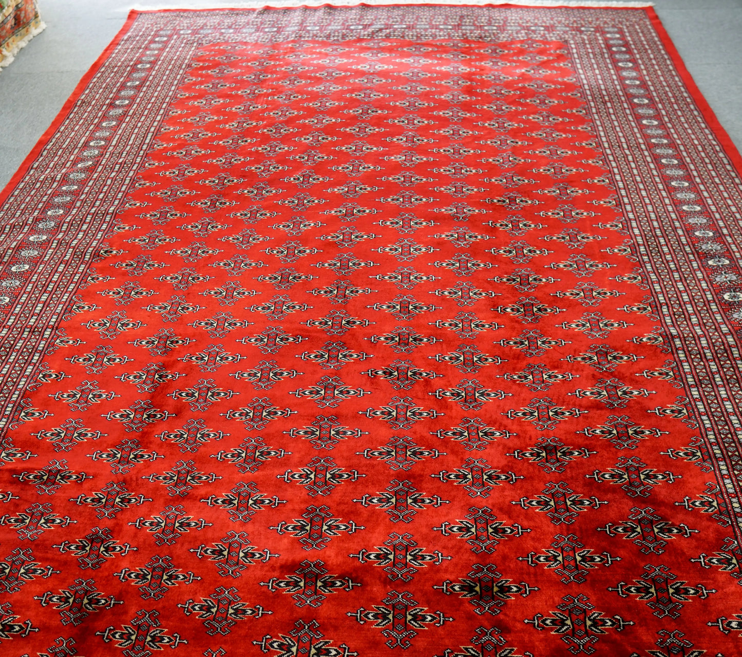 317×253cm  パキスタン手織り絨毯 Decorworks