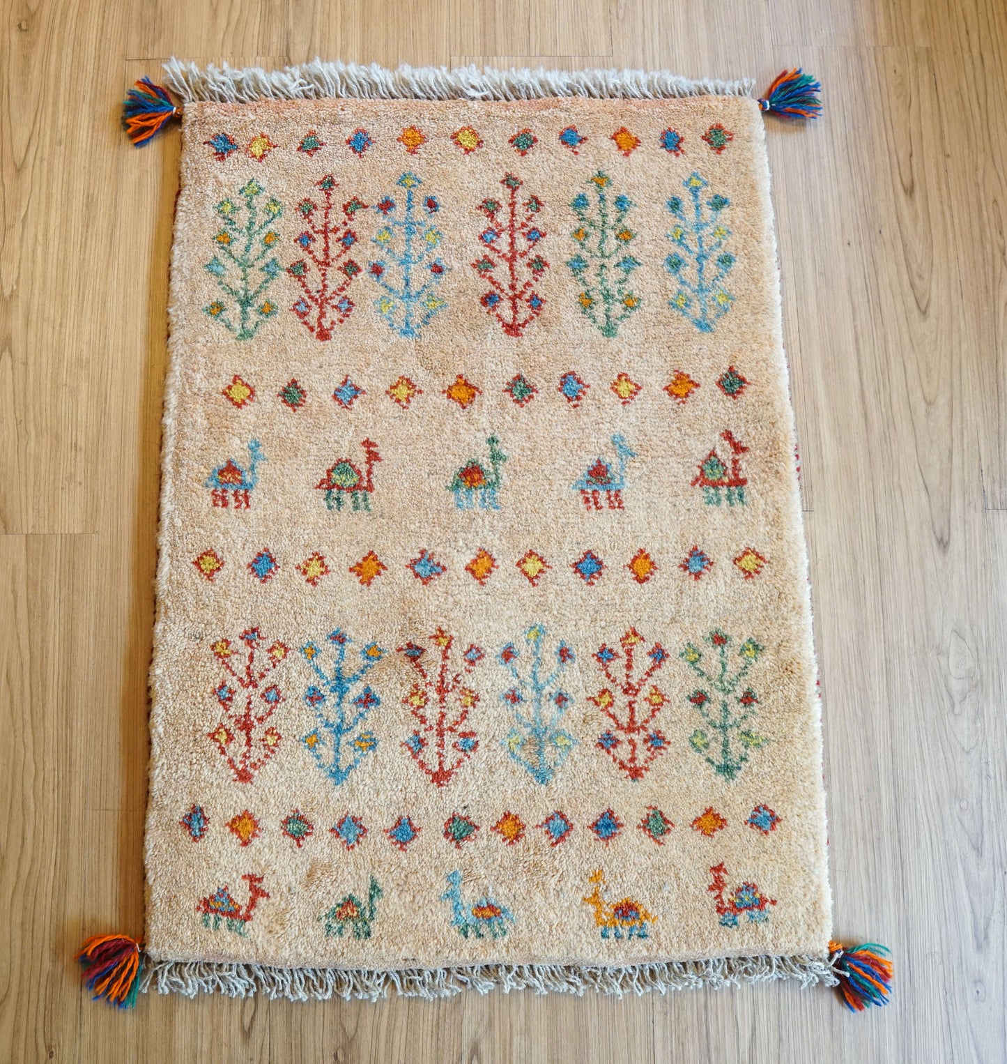Collection 75×54cm ペルシャ手織りギャッベ アマレ族 カシュガイ