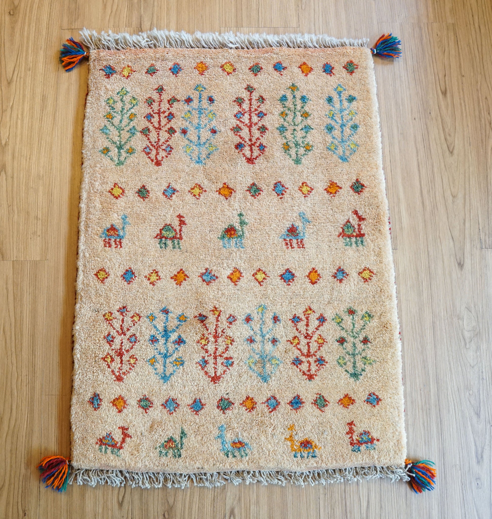 Collection 75×54cm ペルシャ手織りギャッベ アマレ族 カシュガイ