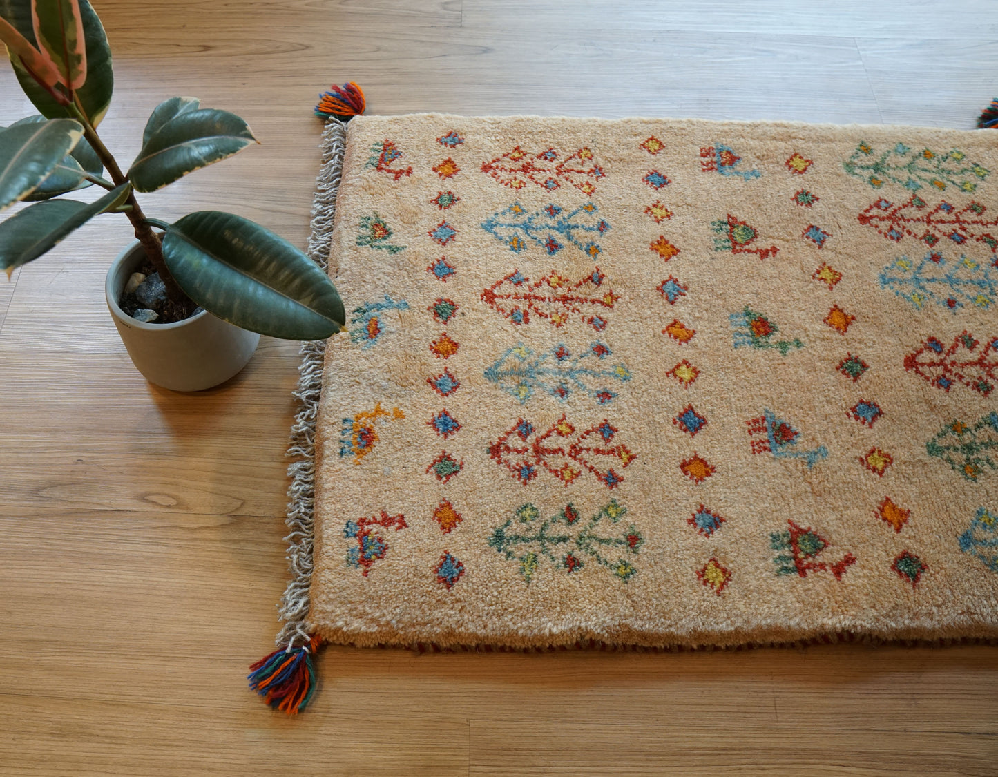 Collection 75×54cm ペルシャ手織りギャッベ アマレ族 カシュガイ