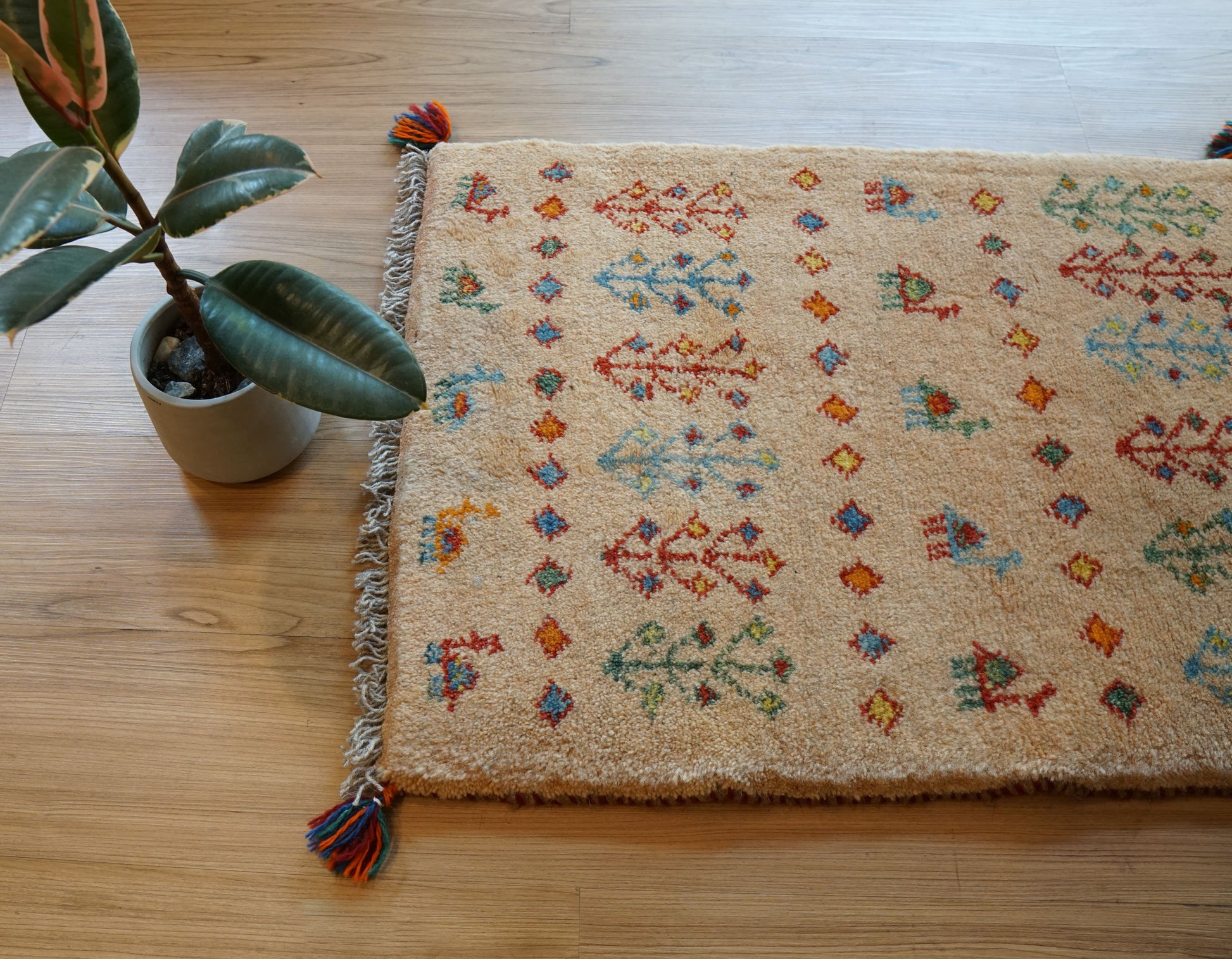 Collection 75×54cm ペルシャ手織りギャッベ アマレ族 カシュガイ