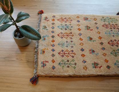 Collection 75×54cm ペルシャ手織りギャッベ アマレ族 カシュガイ