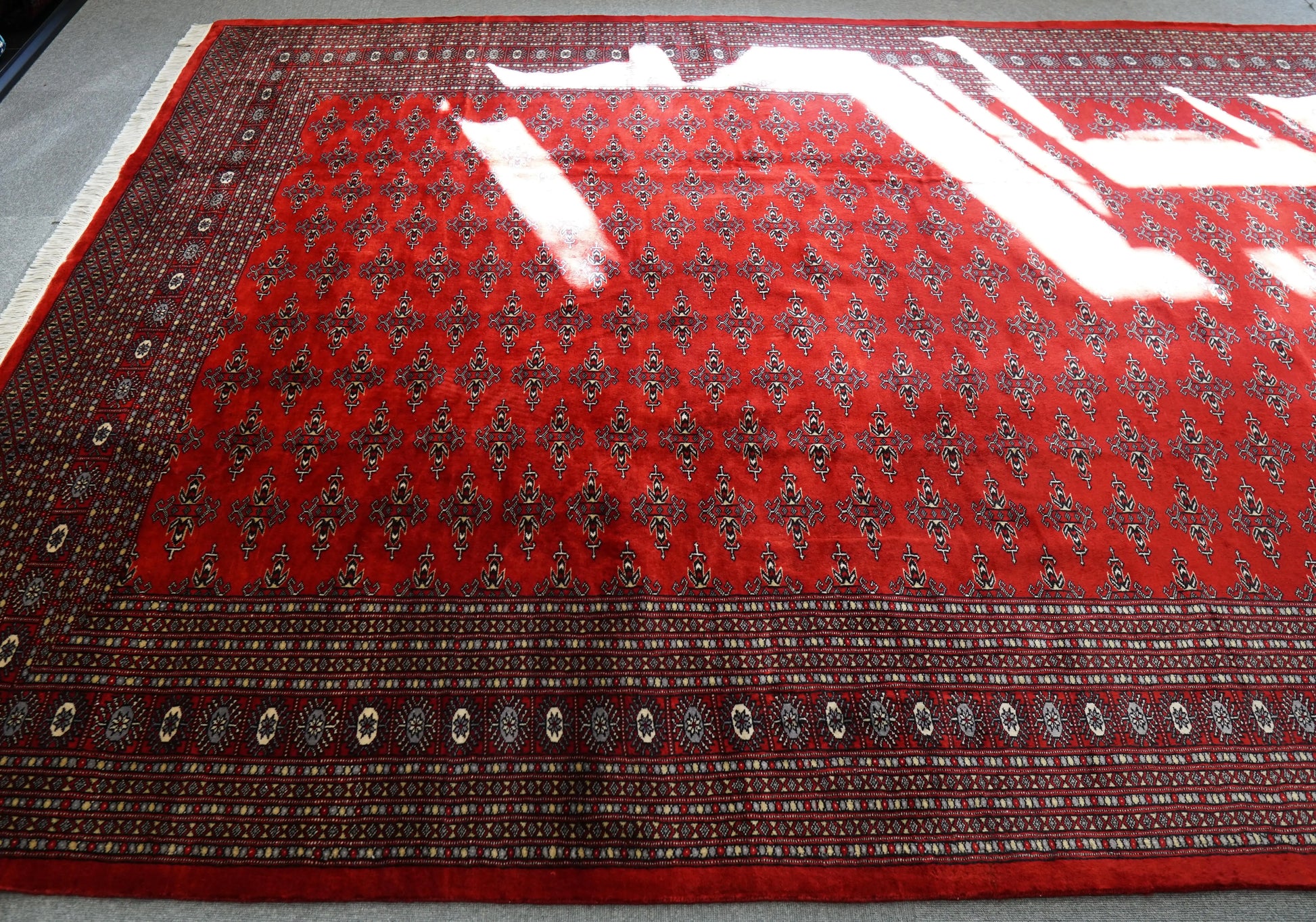 317×253cm  パキスタン手織り絨毯 Decorworks