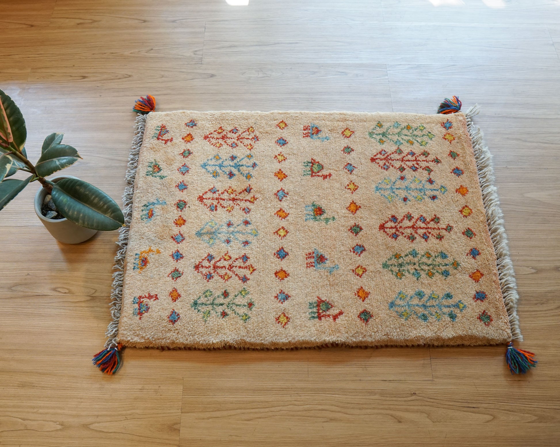 Collection 75×54cm ペルシャ手織りギャッベ アマレ族 カシュガイ