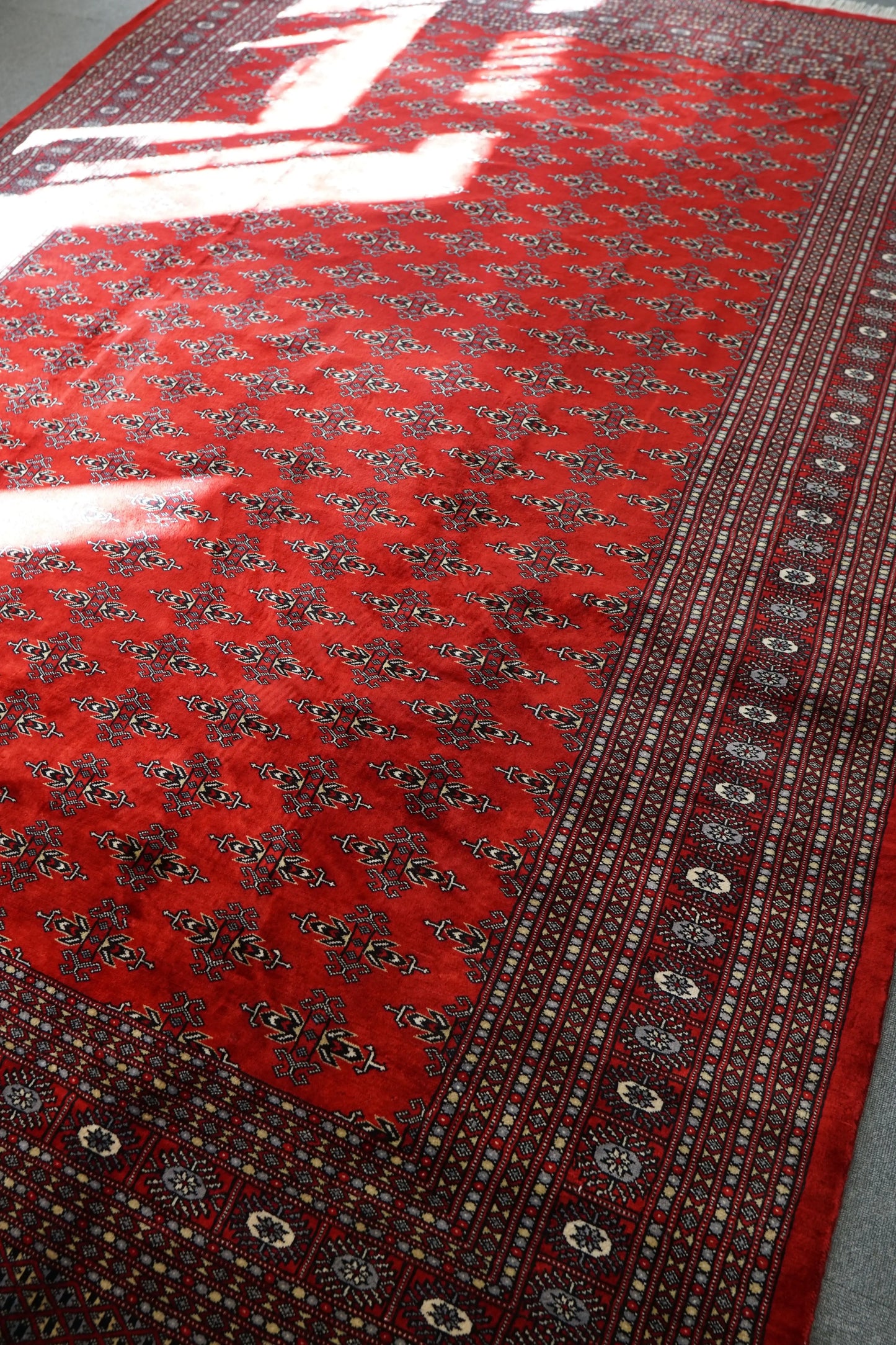 317×253cm  パキスタン手織り絨毯 Decorworks