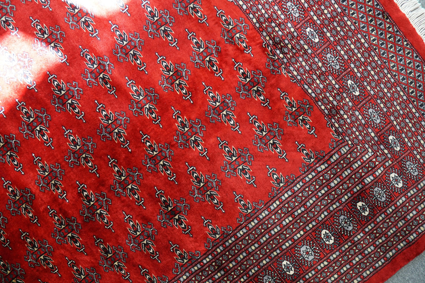 317×253cm  パキスタン手織り絨毯 Decorworks
