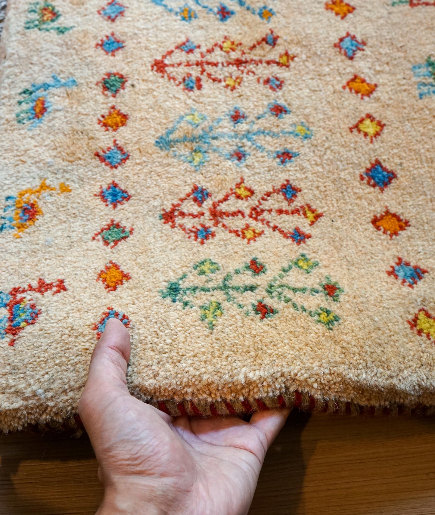 Collection 75×54cm ペルシャ手織りギャッベ アマレ族 カシュガイ