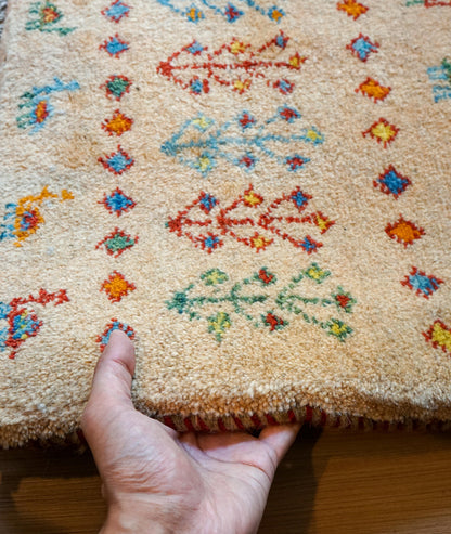 Collection 75×54cm ペルシャ手織りギャッベ アマレ族 カシュガイ