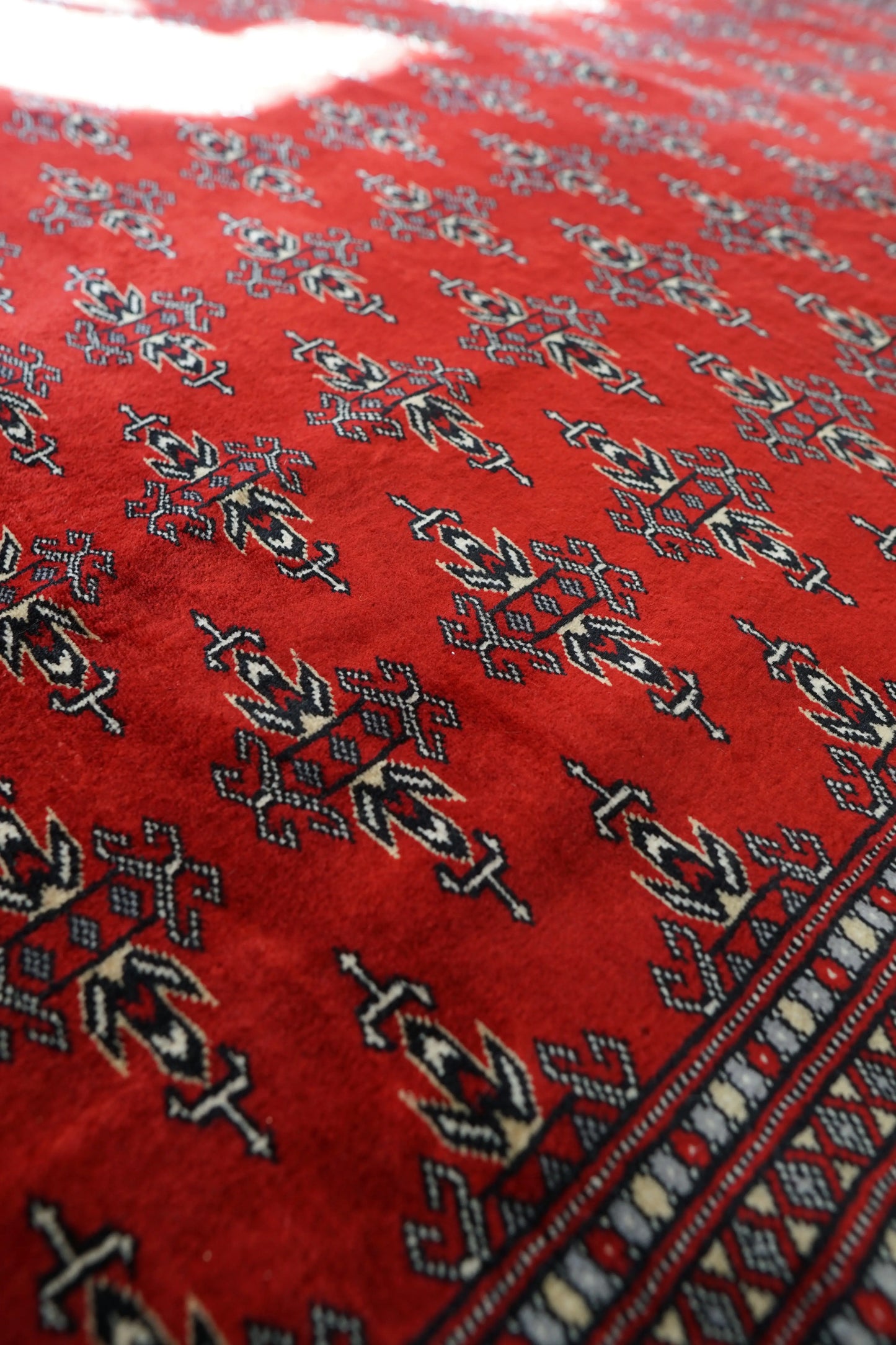 317×253cm  パキスタン手織り絨毯 Decorworks