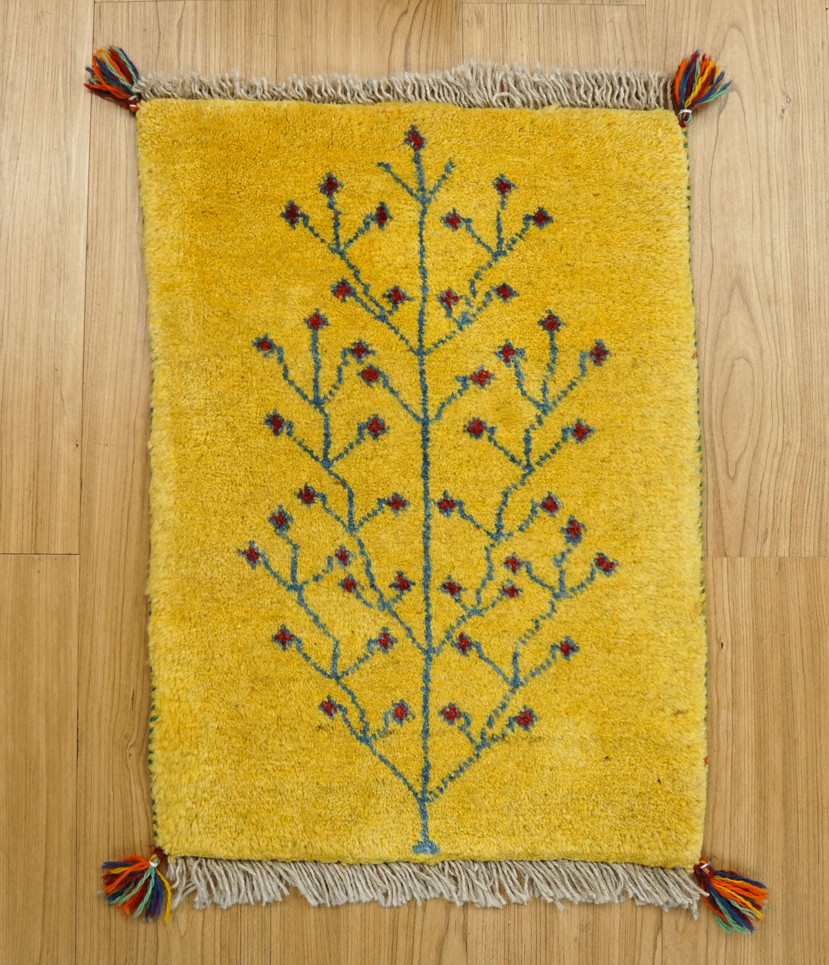  ペルシャ絨毯 手織りギャッベ アマレ族 60×43cm