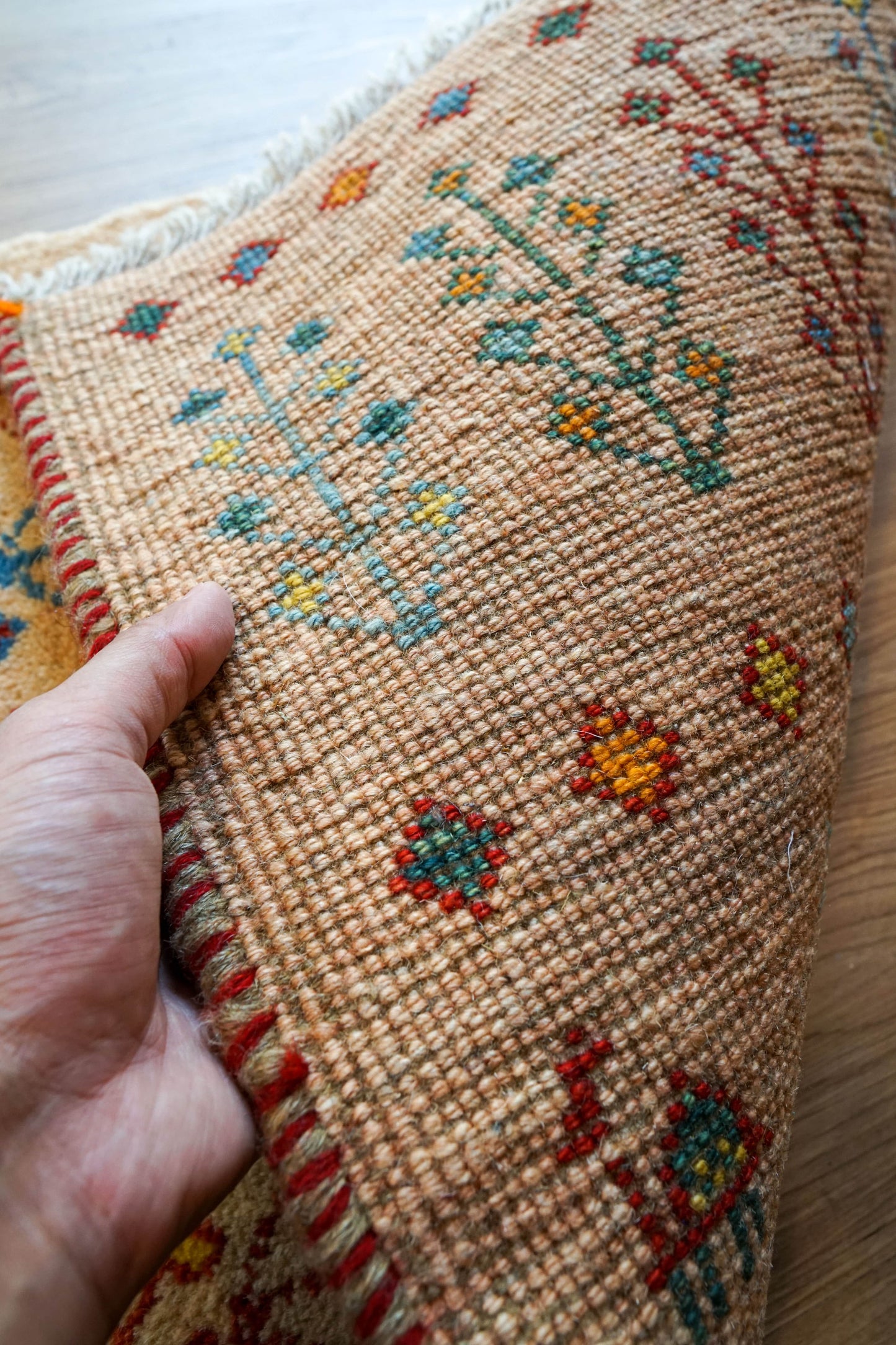 Collection 75×54cm ペルシャ手織りギャッベ アマレ族 カシュガイ