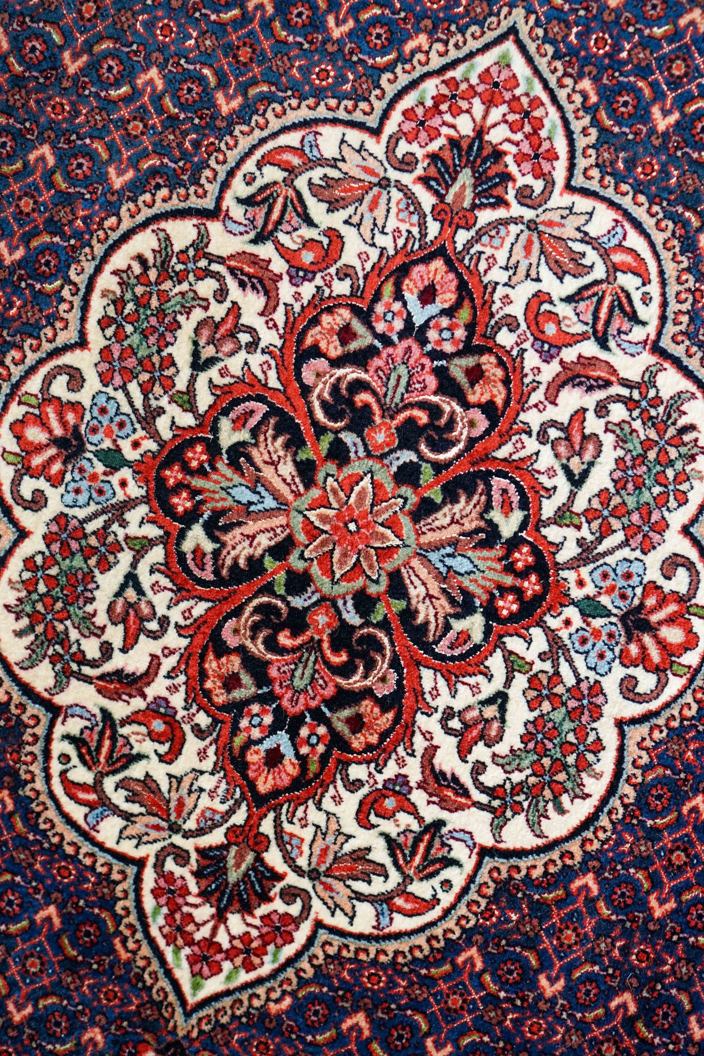  ペルシャ絨毯 ビジャール産 ビジャー 225×154cm タカブ