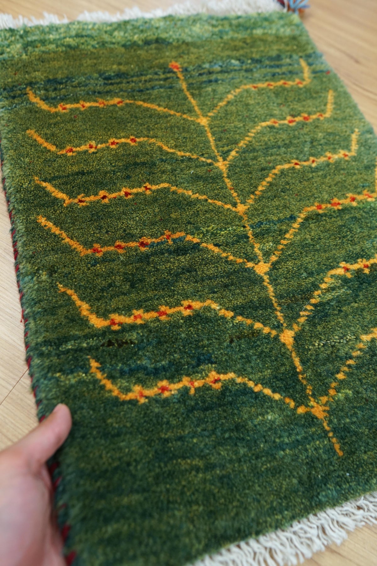  ペルシャ絨毯 手織りギャッベ アマレ族 64×41cm