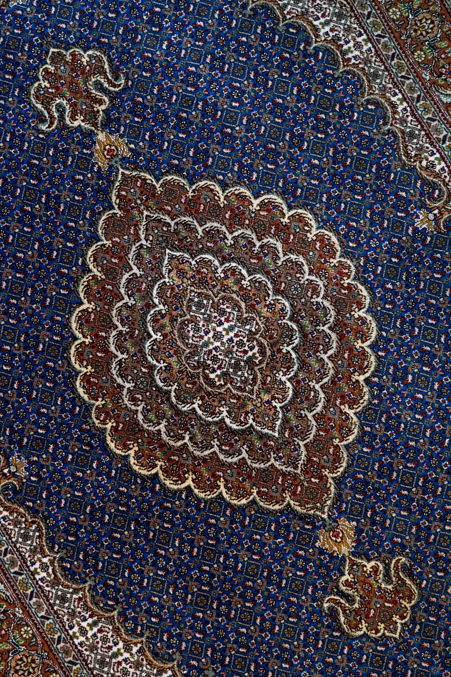 Collection 154×106cm 手織り ペルシャ絨毯 タブリーズ産　50RAJ