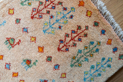 Collection 75×54cm ペルシャ手織りギャッベ アマレ族 カシュガイ