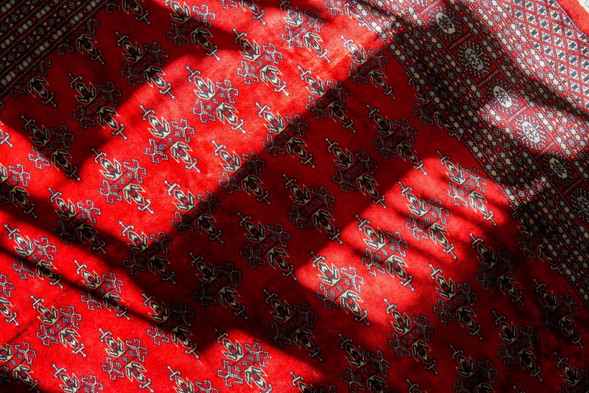 317×253cm  パキスタン手織り絨毯 Decorworks