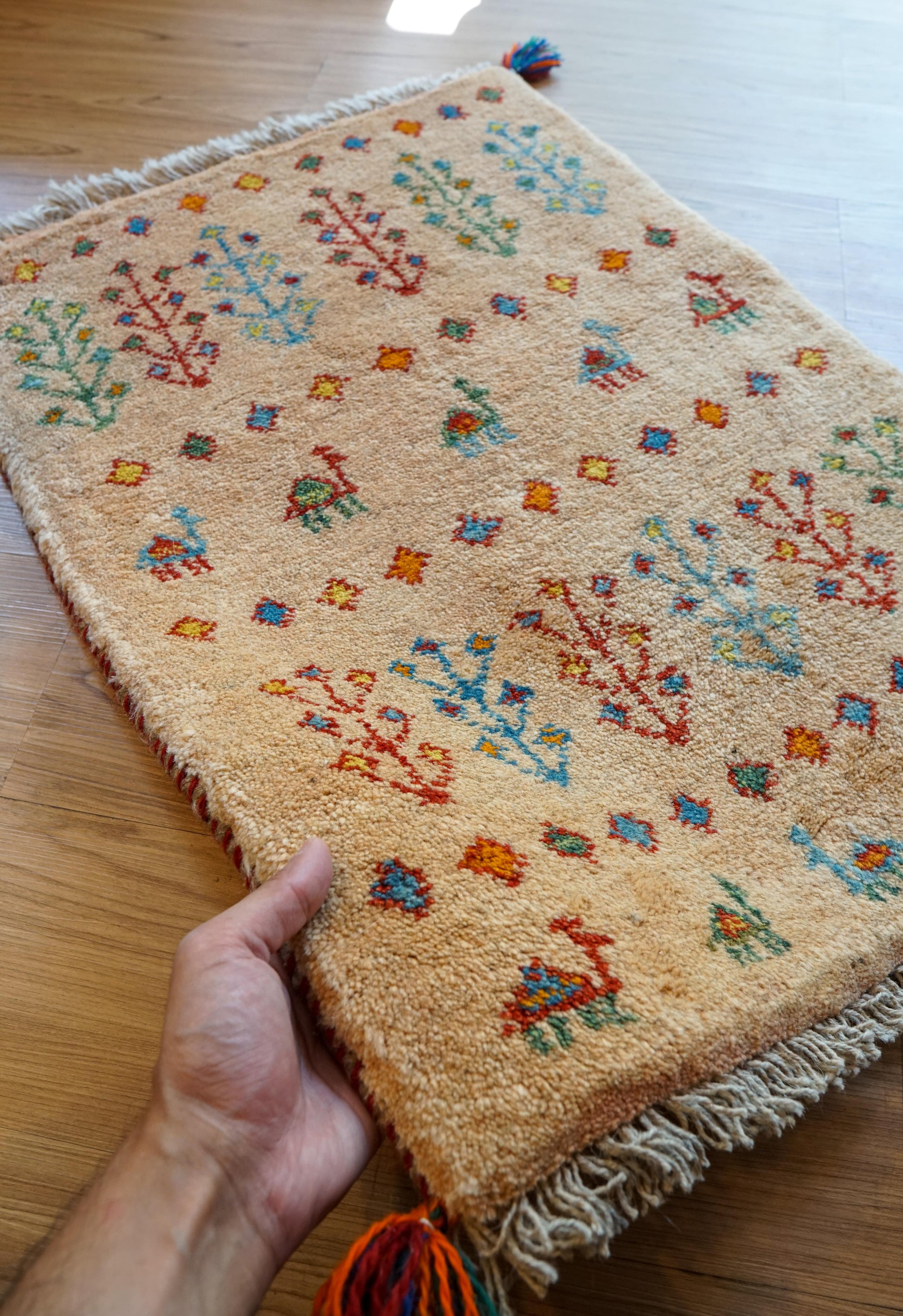 Collection 75×54cm ペルシャ手織りギャッベ アマレ族 カシュガイ